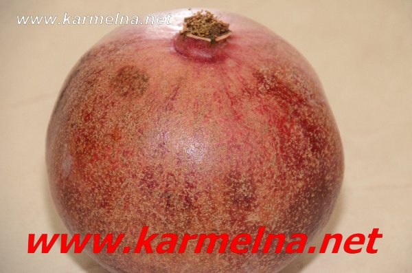 خضار وفواكة ربيع ابو الزلف